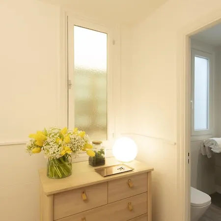 Shiny By Oldtown * San Sebastián