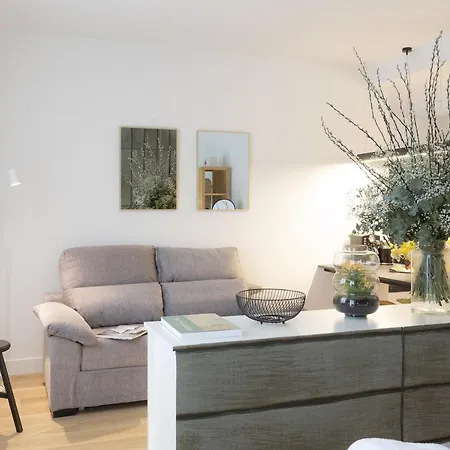 Shiny By Oldtown San Sebastián